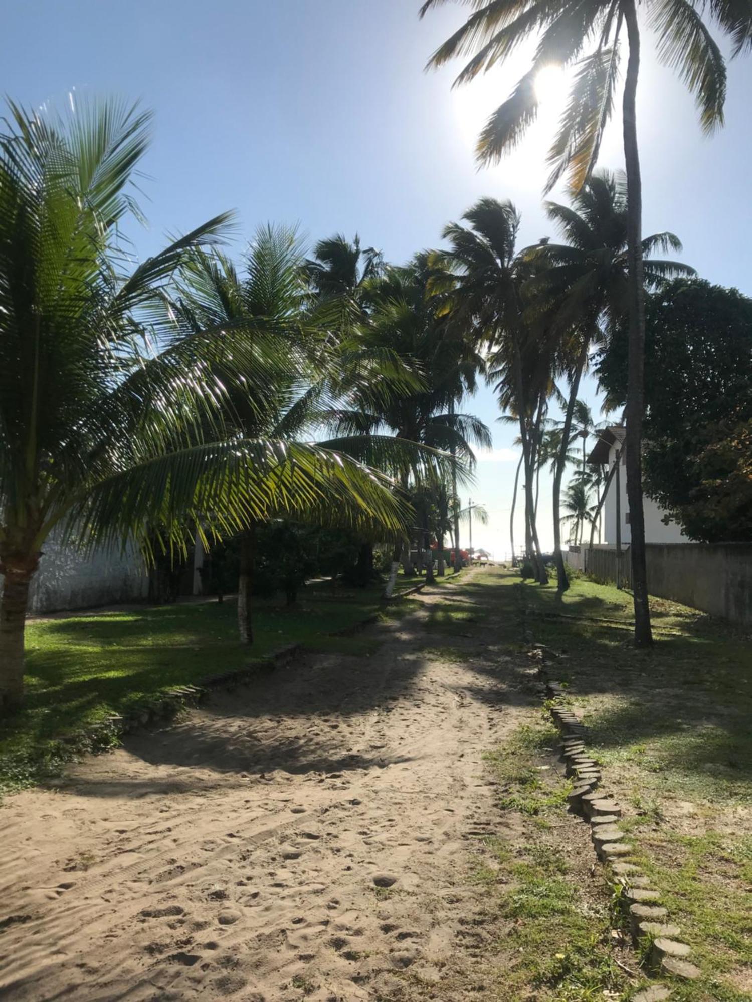 Mandakaru Flat 10 * Porto de Galinhas